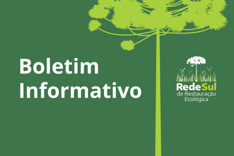 Boletim Informativo | Edição 3 | Março de 2026